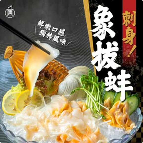 刺身象拔蚌